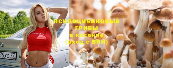 дмт Беломорск